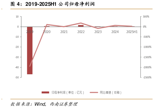 如何解释2019-2025H1 公司归母净利润