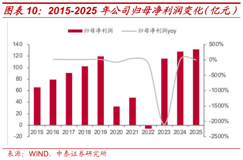 咨询大家2015-2025 年公司归母净利润变化（亿元）?