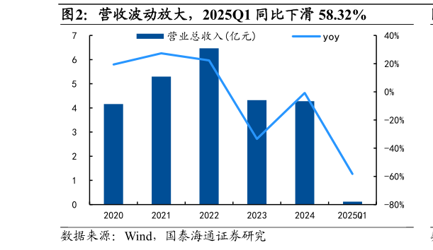 如何了解营收波动放大，2025Q1 同比下滑 58.32%