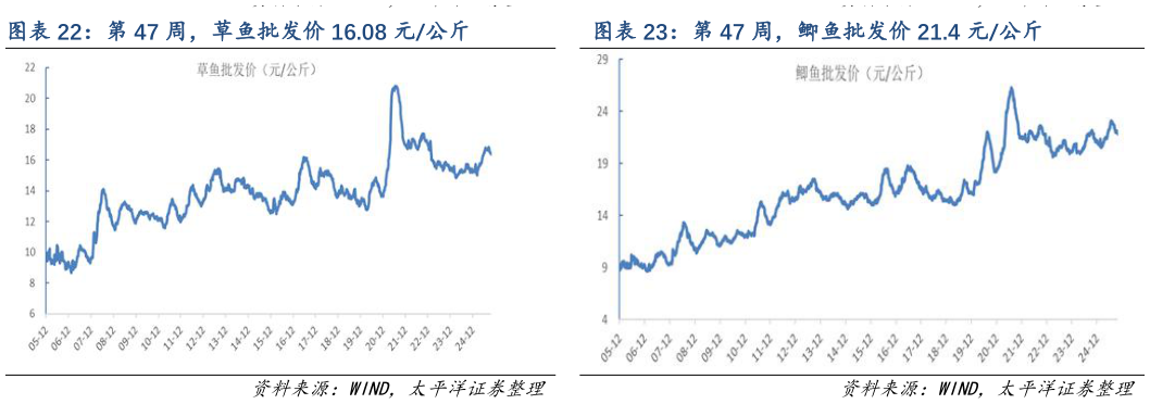 如何解释第 47 周，草鱼批发价 16.08 元公斤