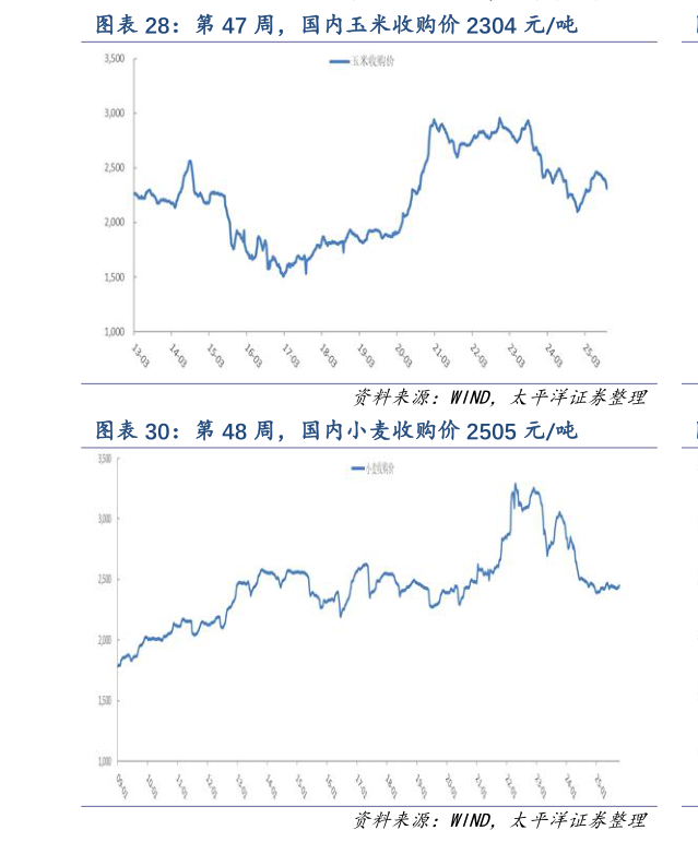 如何看待第 47 周，国内玉米收购价 2304 元吨