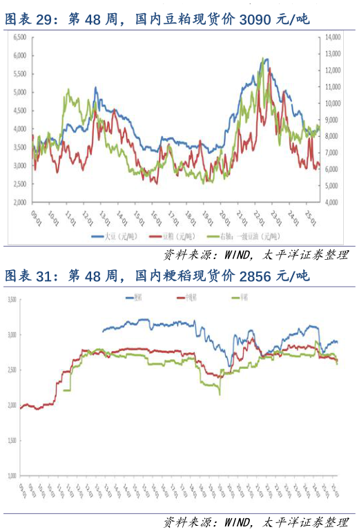 谁知道第 48 周，国内豆粕现货价 3090 元吨