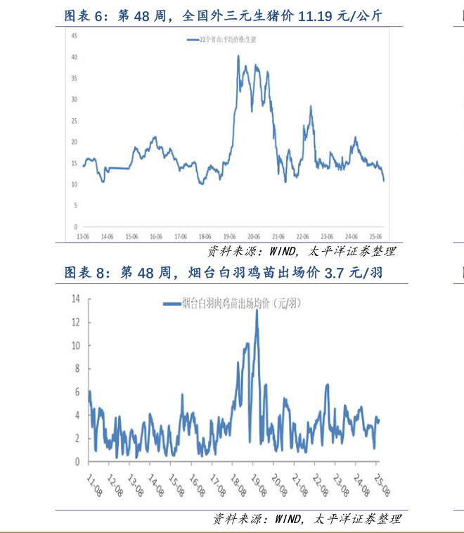 如何解释第 48 周，全国外三元生猪价 11.19 元公斤