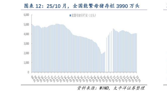 如何才能2510 月，全国能繁母猪存栏 3990 万头