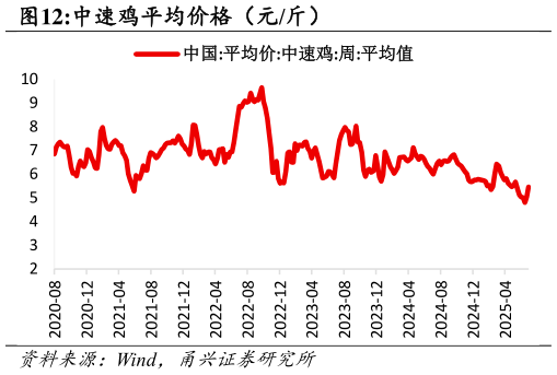 如何了解中速鸡平均价格（元斤）