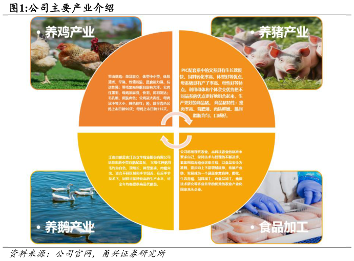 谁能回答公司主要产业介绍