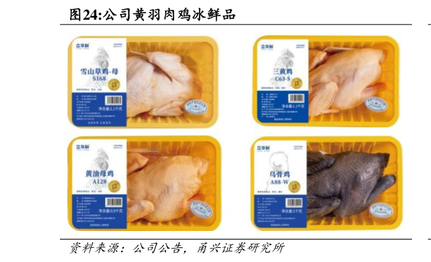 想关注一下公司黄羽肉鸡冰鲜品