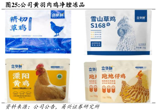 如何才能公司黄羽肉鸡净膛冻品?