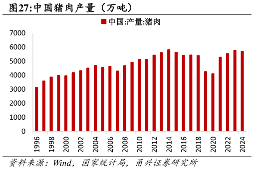 我想了解一下中国猪肉产量（万吨）