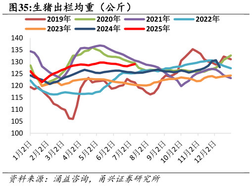 如何了解生猪出栏均重（公斤）