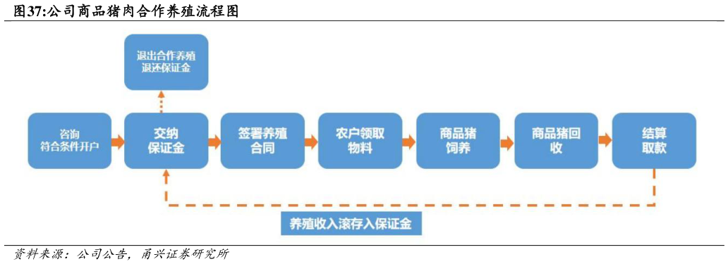 我想了解一下公司商品猪肉合作养殖流程图?