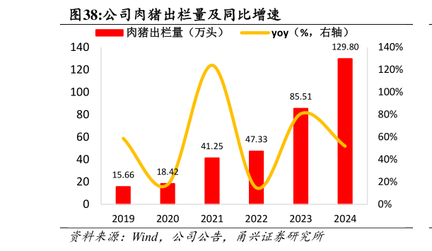 我想了解一下公司肉猪出栏量及同比增速?
