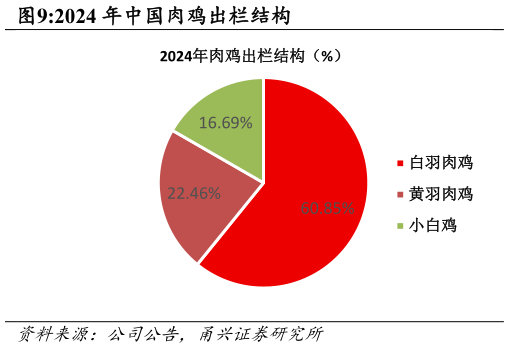 一起讨论下2024 年中国肉鸡出栏结构?