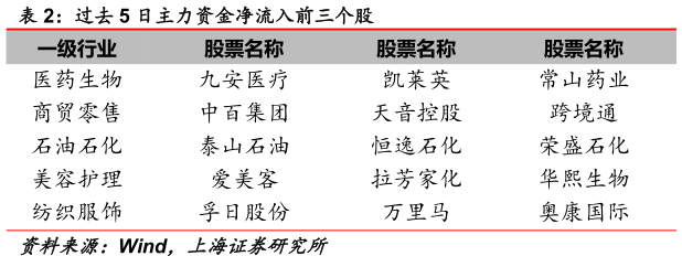 谁能回答过去 5 日主力资金净流入前三个股