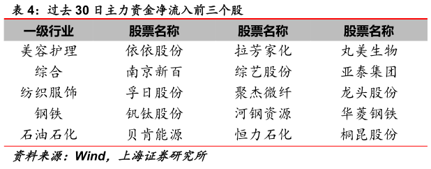 如何看待过去 30 日主力资金净流入前三个股
