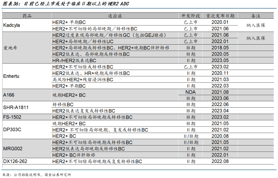 谁能回答目前已经上市或处于临床期以上的HER2 ADC