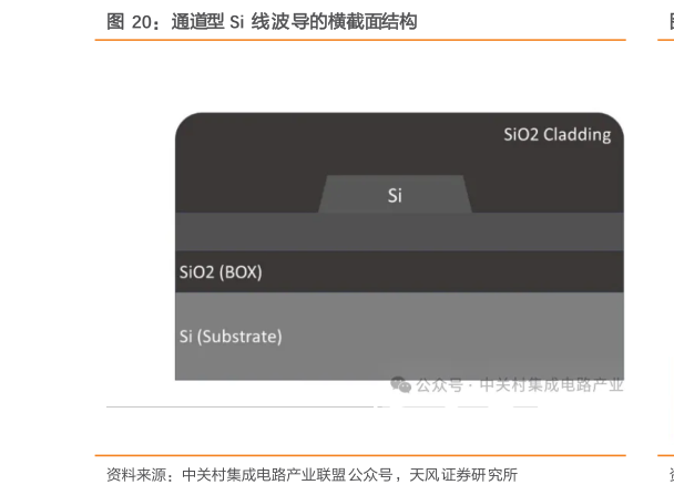 我想了解一下通道型 Si 线波导的横截面结构