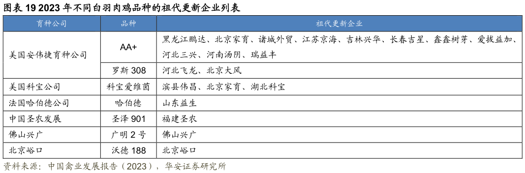 咨询大家2023 年不同白羽肉鸡品种的祖代更新企业列表?