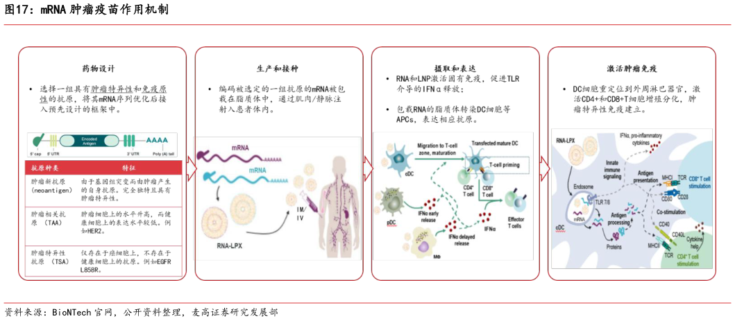 如何看待mRNA 肿瘤疫苗作用机制?