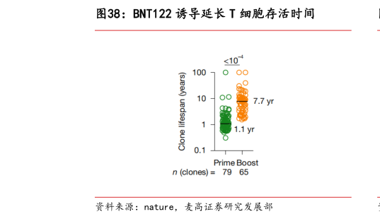 谁知道BNT122 诱导延长 T 细胞存活时间