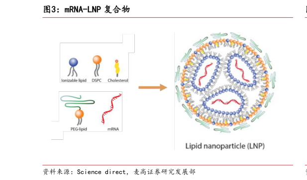 各位网友请教一下mRNA-LNP 复合物?