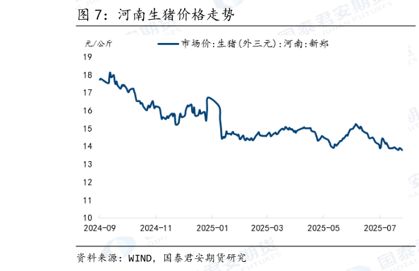 如何看待河南生猪价格走势