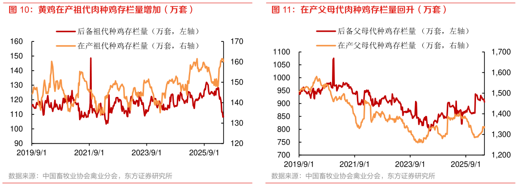 咨询大家黄鸡在产祖代肉种鸡存栏量增加（万套） 在产父母代肉种鸡存栏量回升（万套）