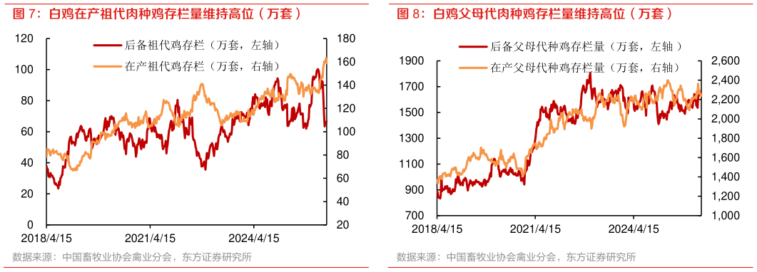 如何了解白鸡父母代肉种鸡存栏量维持高位（万套）