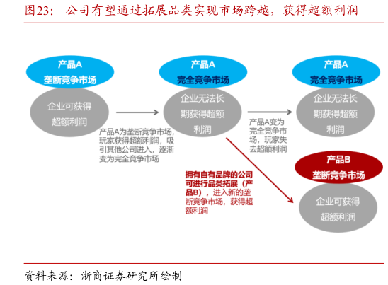 如何了解公司有望通过拓展品类实现市场跨越，获得超额利润