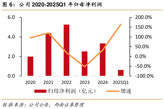 咨询大家公司 2020-2025Q1 年归母净利润