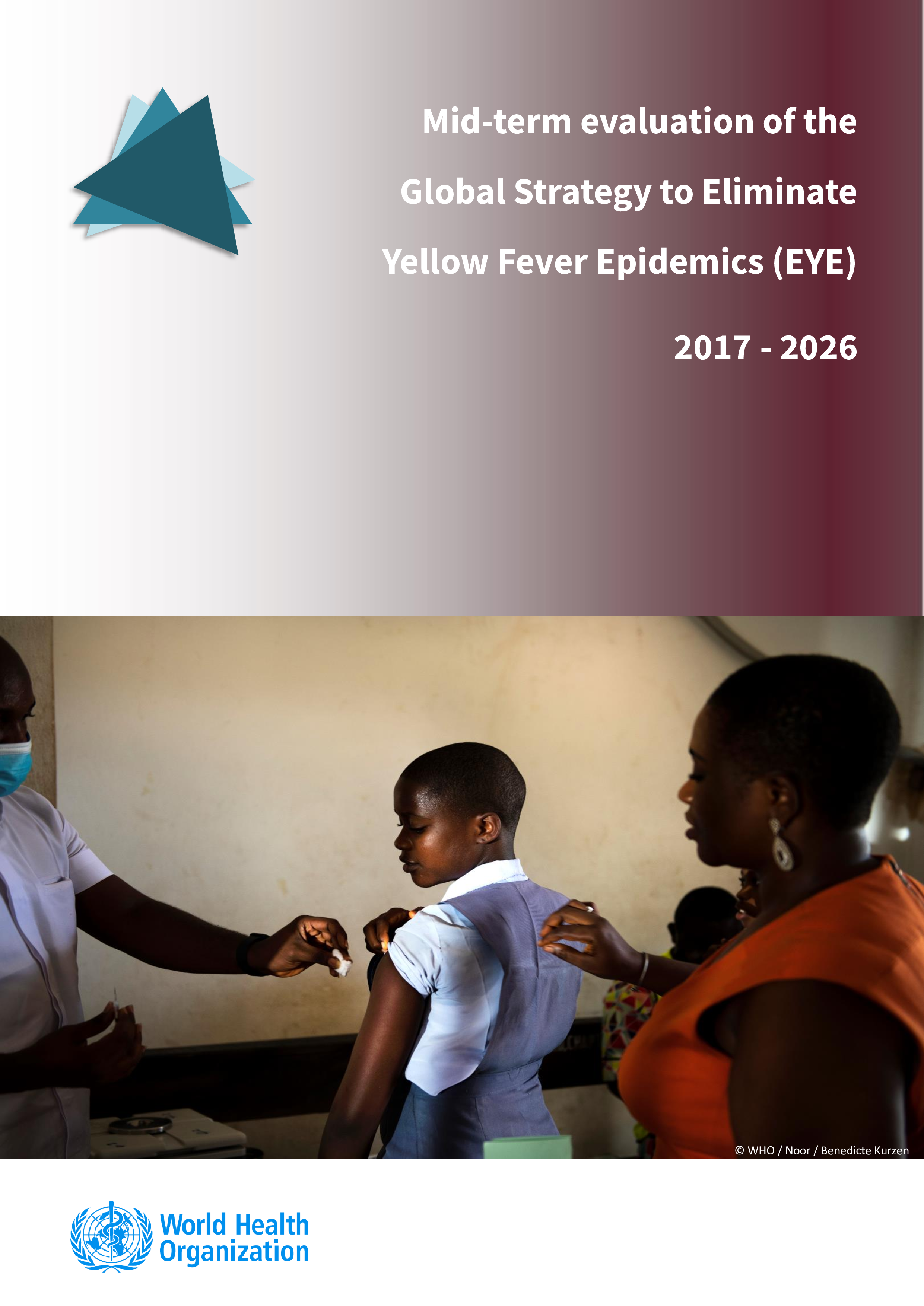 Mid term evaluation of the global strategy to eliminate yellow fever