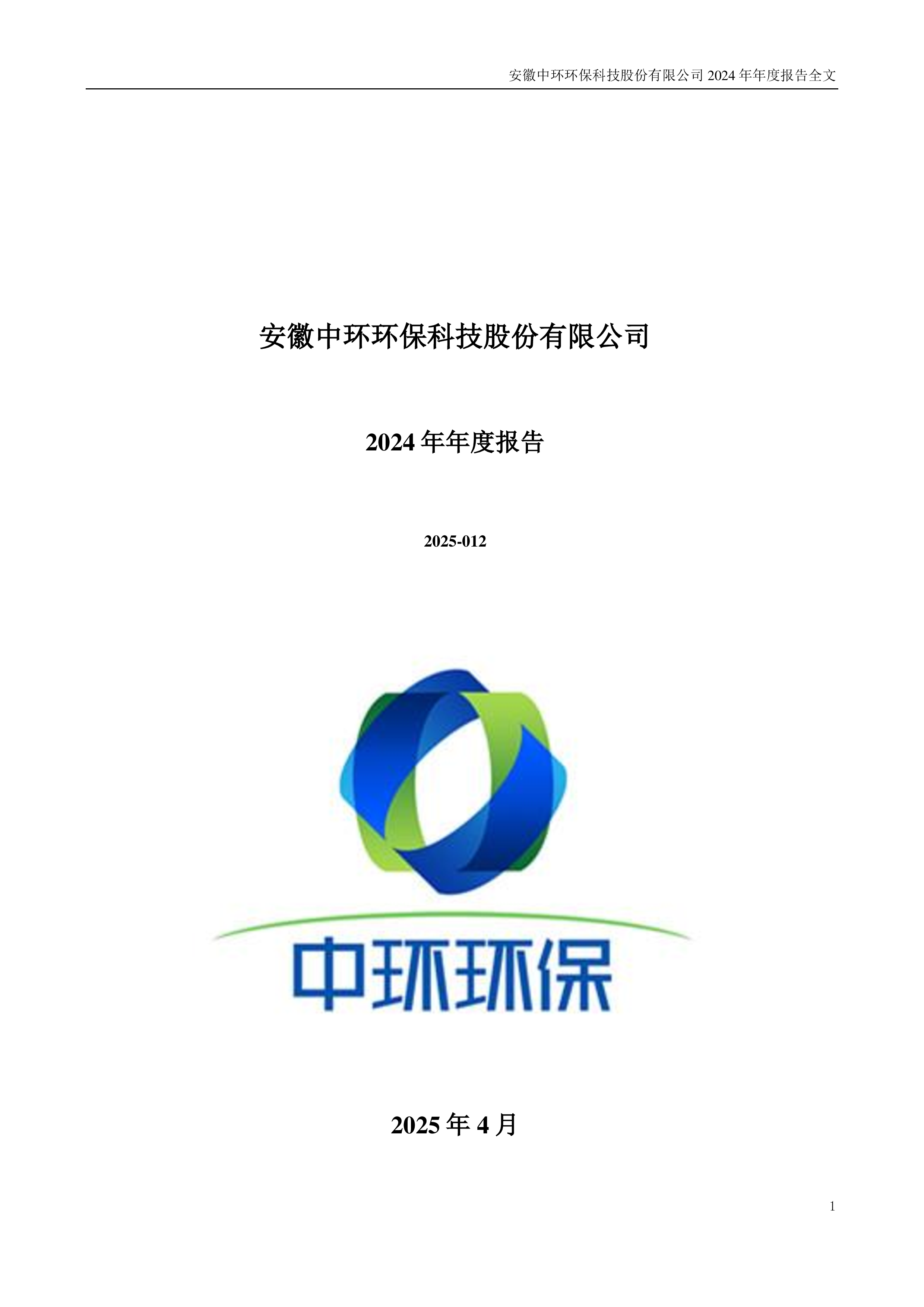 中环环保:2024年年度报告-洞见研报-行业报告