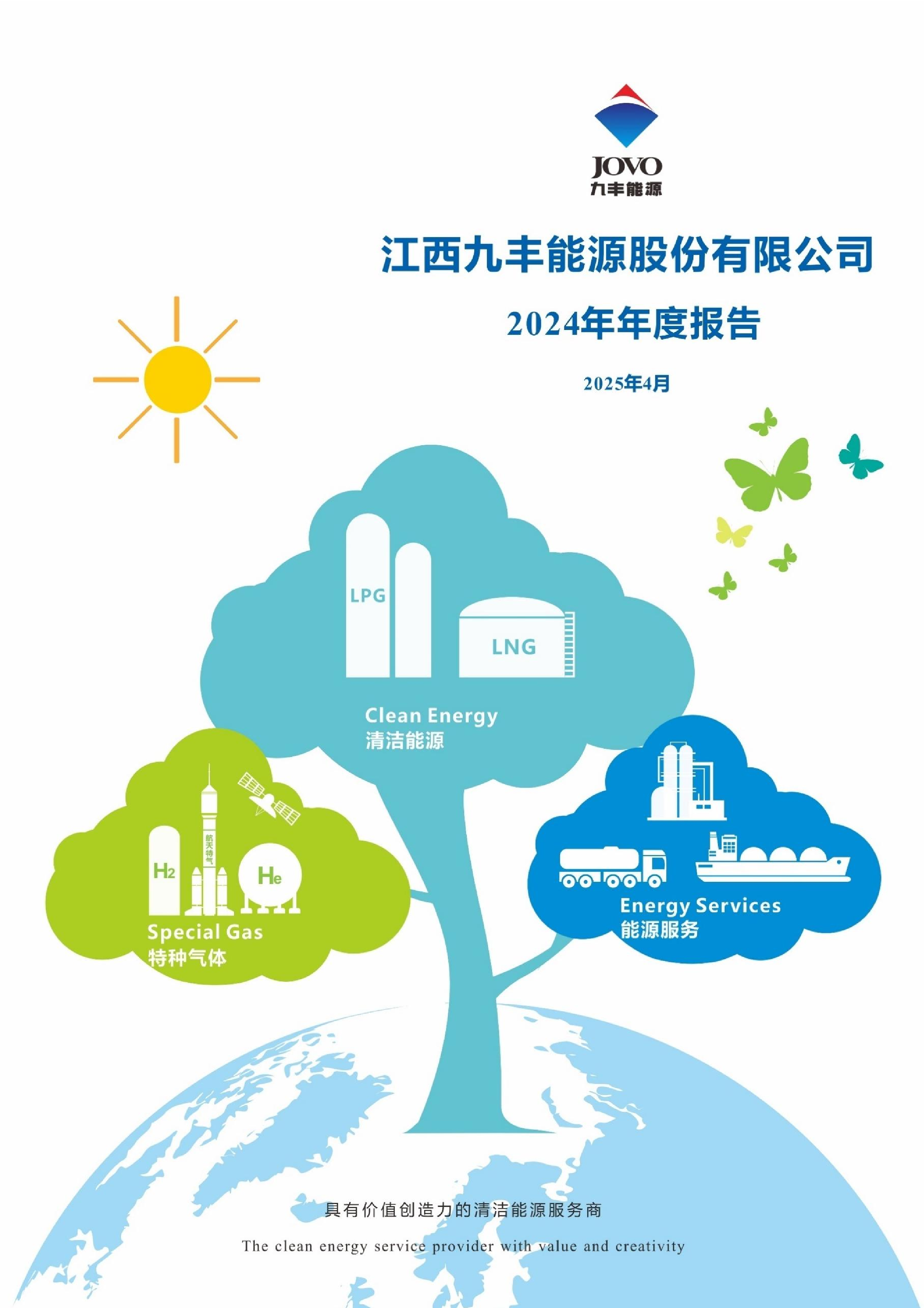 2024年年度报告-洞见研报-行业报告