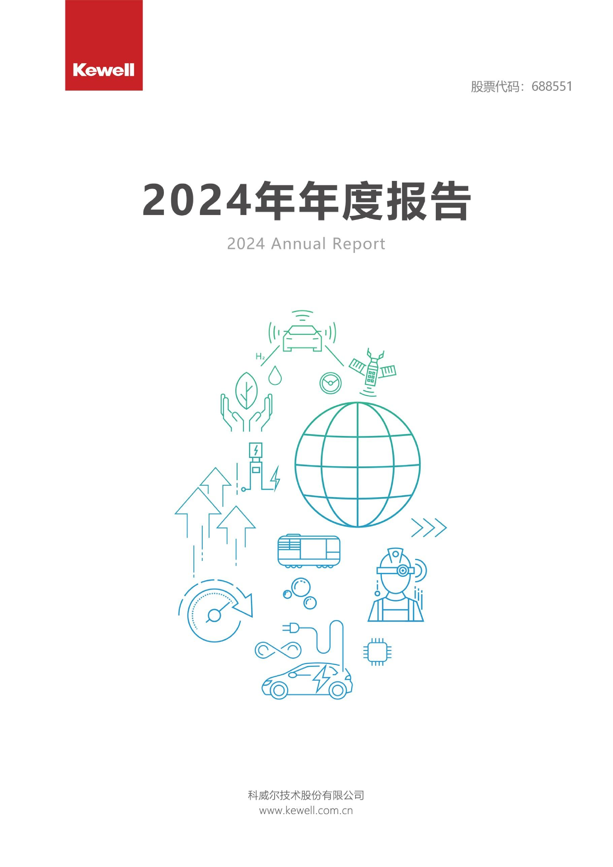 2024年年度报告-洞见研报-行业报告
