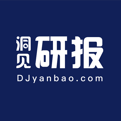 洞见研报Logo